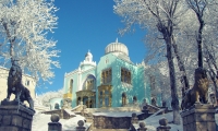 05.jpg