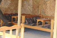 06.jpg