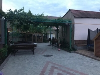 08.jpg