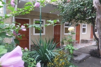 04.jpg