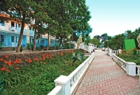 04.jpg