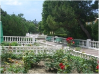 05.jpg