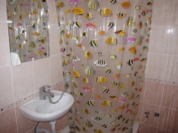 09.jpg