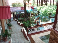 04.jpg