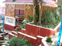 06.jpg