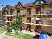 01.jpg
