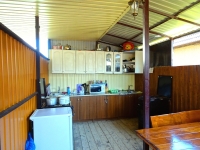05.jpg
