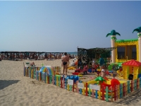 06.jpg