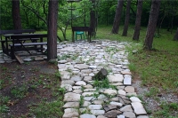 06.jpg
