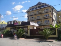 03.jpg