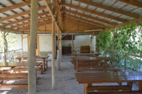 07.jpg