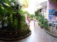 08.jpg
