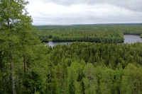 05.jpg