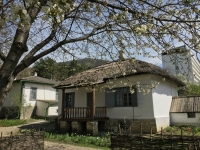 04.jpg