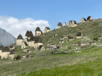 04.jpg