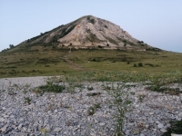 05.jpg