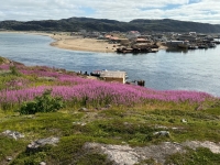 06.jpg