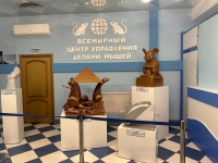 03.jpg