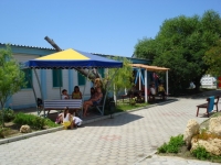 07.jpg