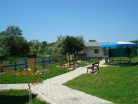 08.jpg
