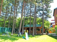 05.jpg