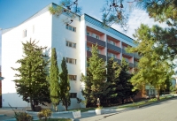02.jpg