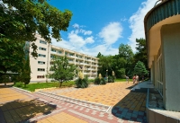 02.jpg
