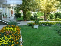 04.jpg