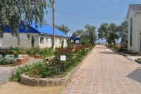 05.jpg