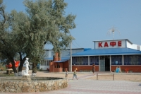 14.JPG