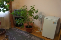 DSC09166.JPG
