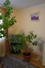 DSC09167.JPG