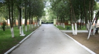 02.jpg