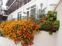 09.jpg
