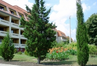 04.jpg