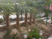 05.JPG