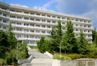 01.jpg