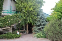 06.jpg