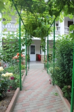 07.jpg