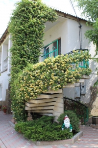 09.jpg