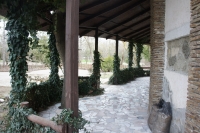 DSC08554.JPG