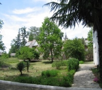 06.jpg