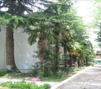 08.jpg