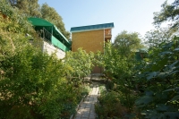 05.jpg