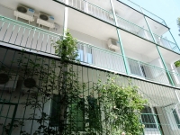 02.JPG
