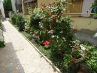 03.jpg