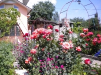 04.jpg