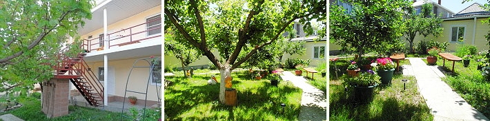 08.jpg