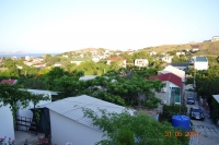 03.JPG