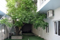 05.jpg